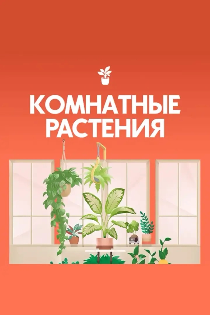 Комнатные Растения